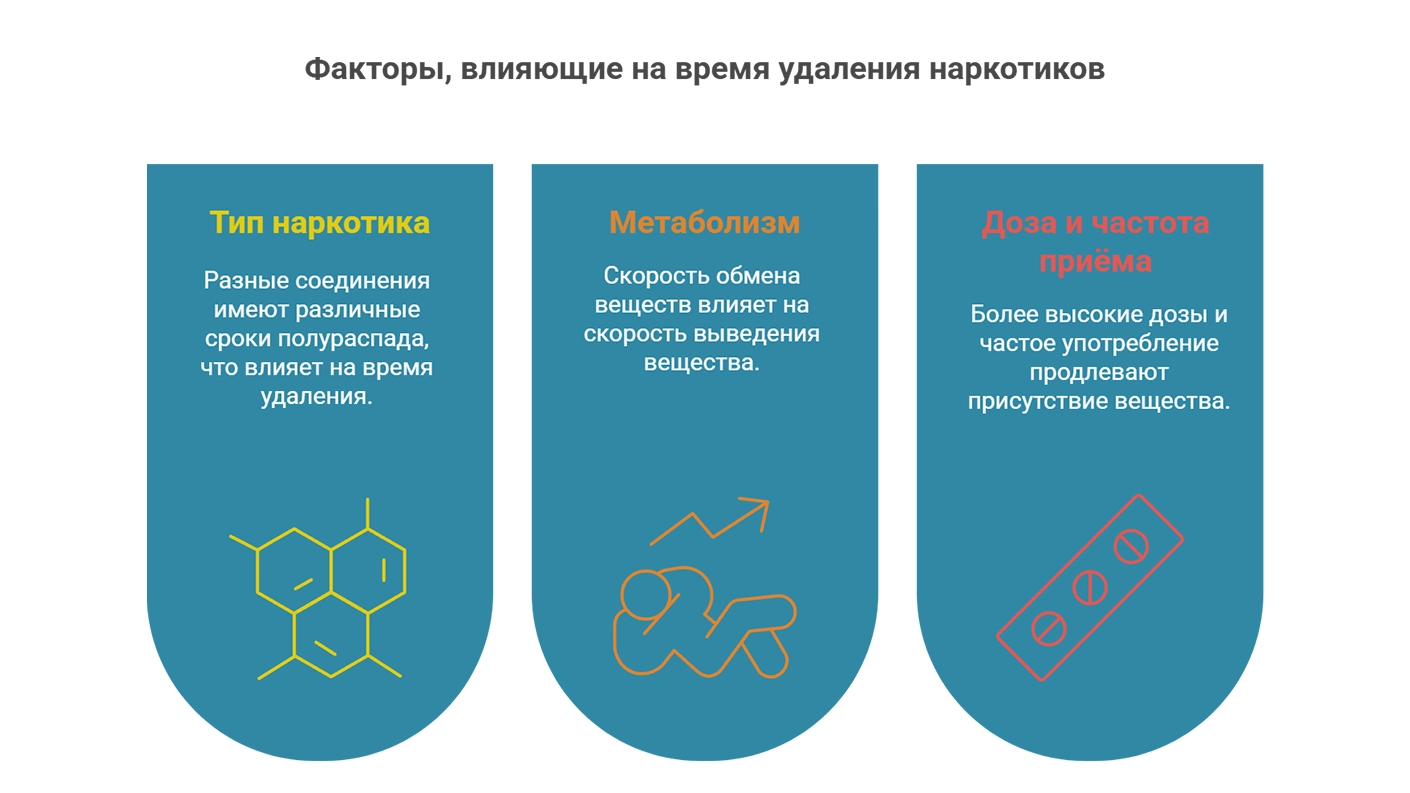 Факторы, влияющие на время удаления наркотиков Факторы, влияющие на время удаления наркотиков (инфографика)